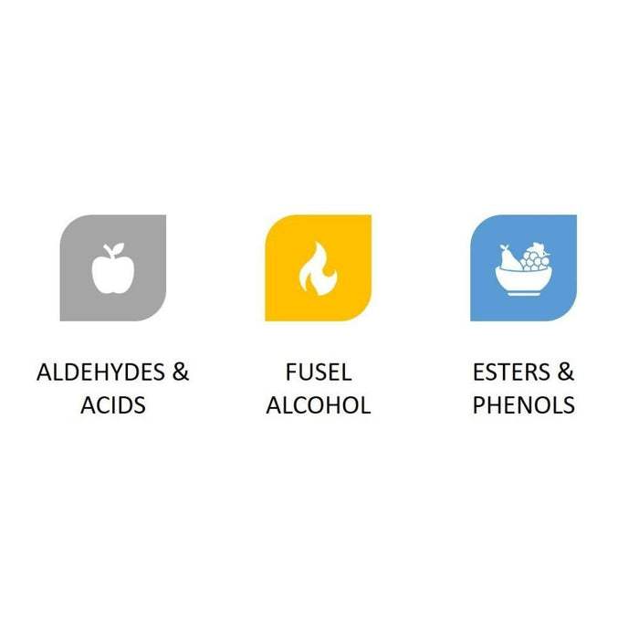 Yeast: Flavours & Aromas